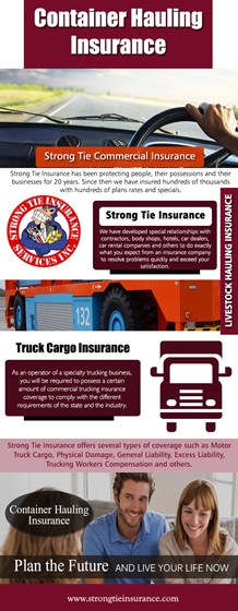 Strongtie Insurance: Strongtie Insurance